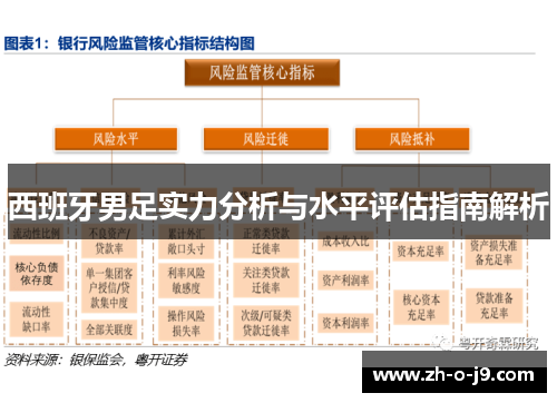 西班牙男足实力分析与水平评估指南解析 西班牙男足实力分析与水平评估指南解析