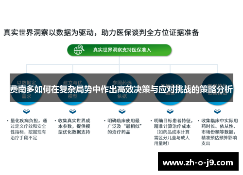 费南多如何在复杂局势中作出高效决策与应对挑战的策略分析