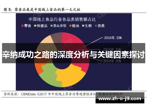 辛纳成功之路的深度分析与关键因素探讨