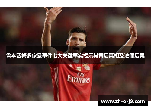 鲁本塞梅多家暴事件七大关键事实揭示其背后真相及法律后果